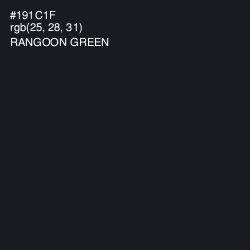 #191C1F - Rangoon Green Color Image